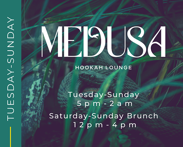Medusa Hookah Lounge